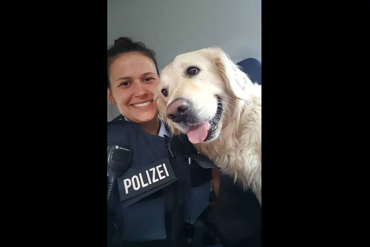 Renchen - Ausgebüxter Hund ohne Herrchen im Regionalzug unterwegs