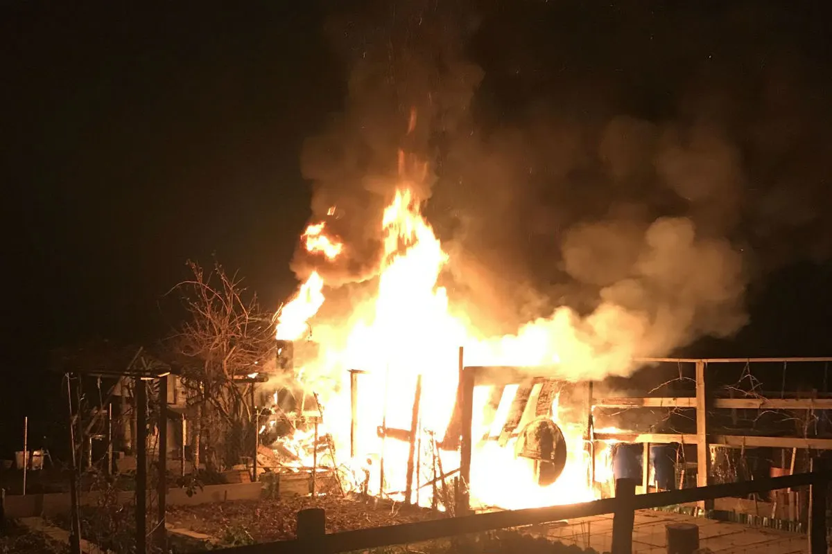 Muttenz BL - Gartenhaus gerät in Vollbrand