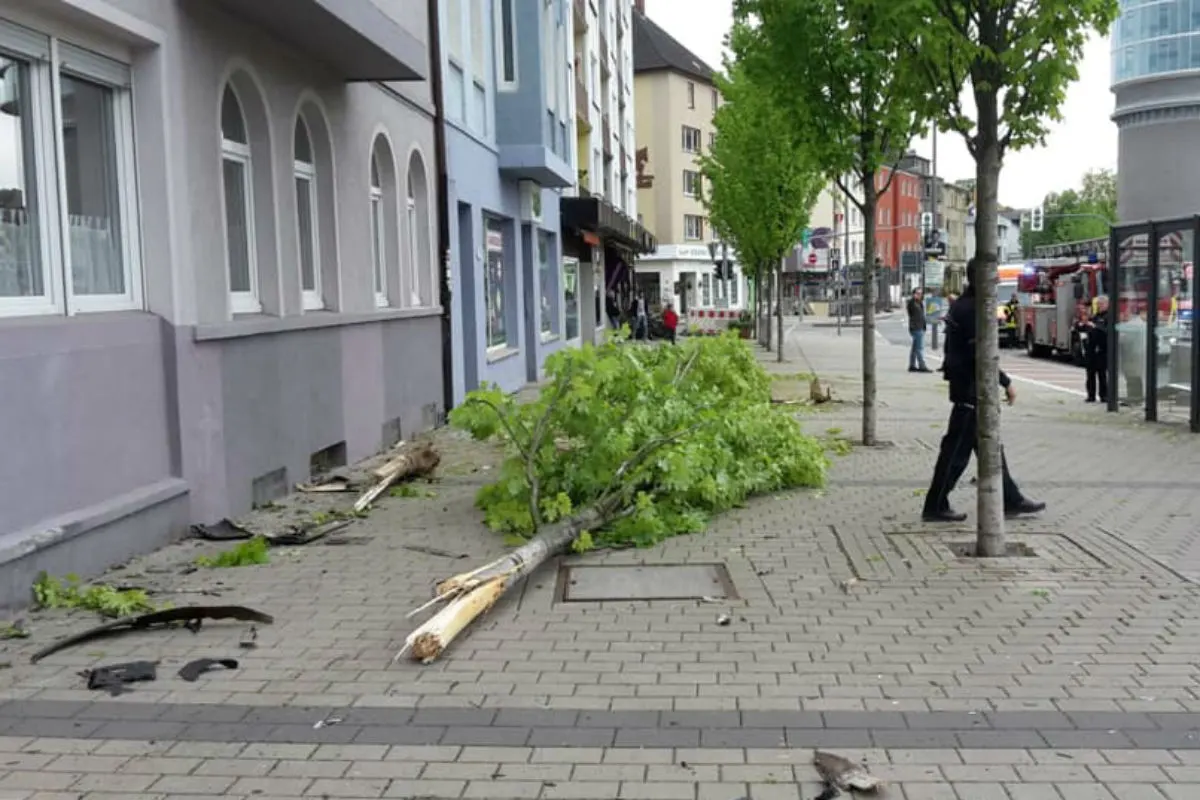Fahrzeug streift Hauswand