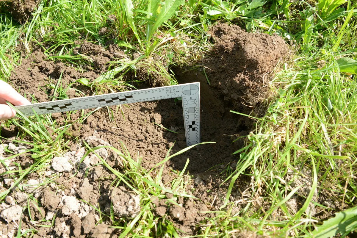 Schellenberg FL - Illegale Raubgrabungen festgestellt