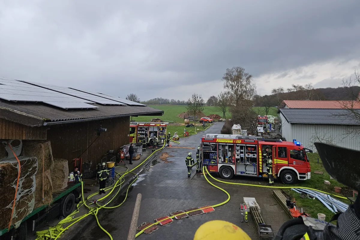 Werne – 100 Schweine bei Großbrand in Stall gestorben