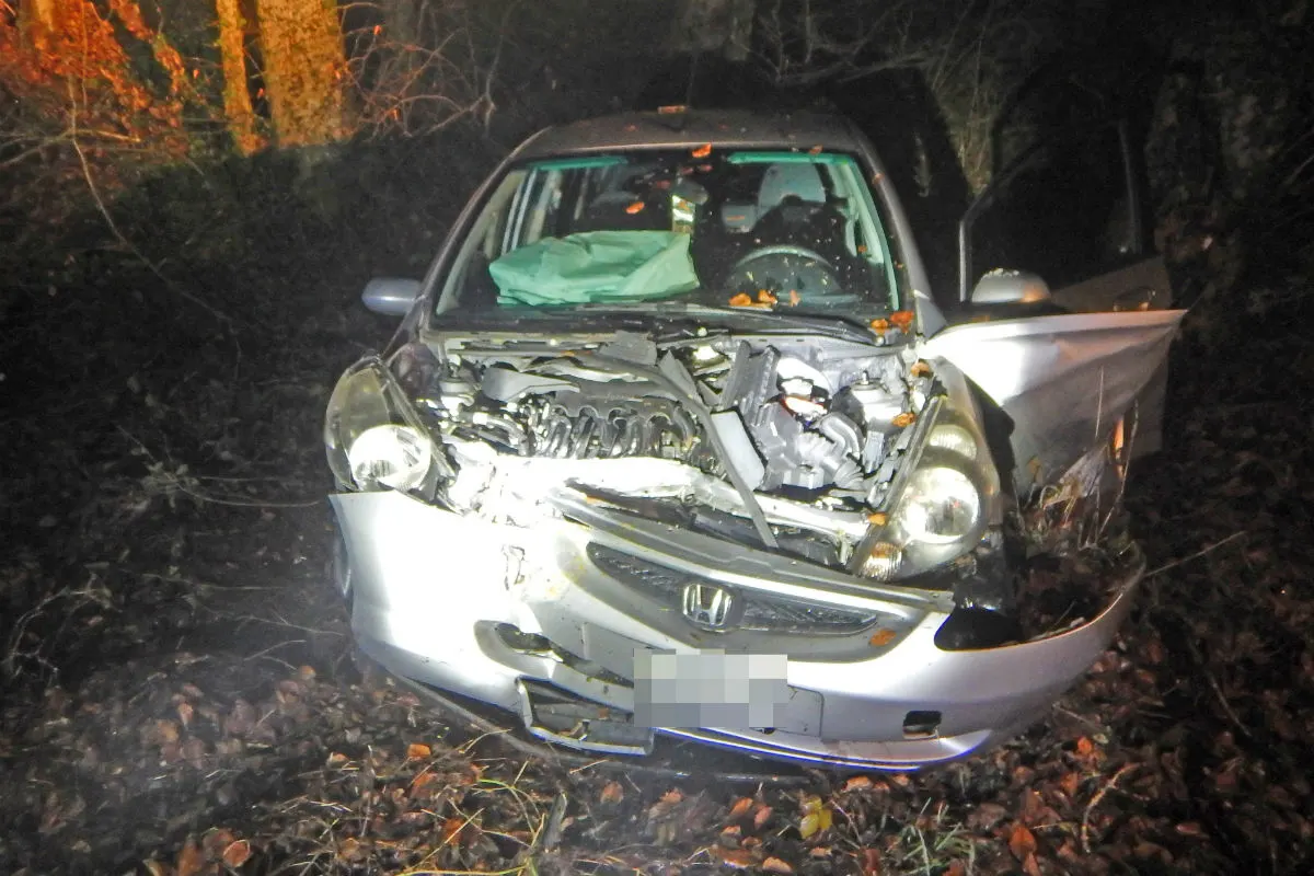 Eschikofen TG - Autofahrer prallt in Baum
