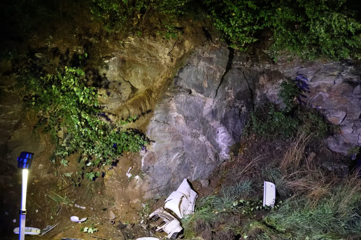 Vor einer Felswand liegen bei Nacht mehrere beschädigte Autoteile auf dem Boden, umgeben von Pflanzen.