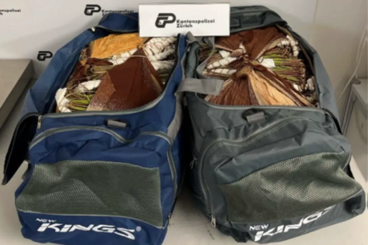 Flughafen Zürich - Mann versucht um die 44 Kilogramm Khat zu schmuggeln