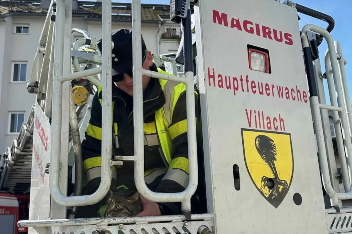 Villach K – Feuerwehr rettet Kater vom Dach