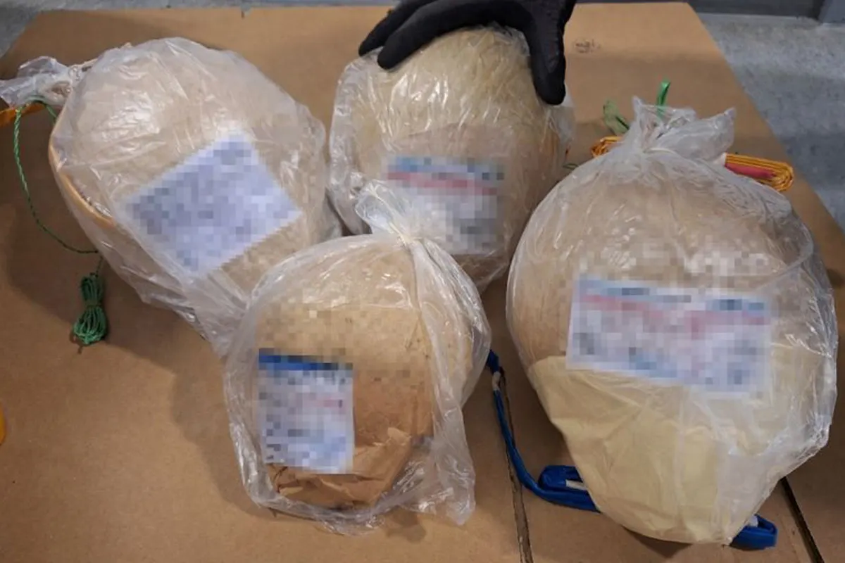 Günzburg – Zoll stellt hochgefährliche Kugelbomben sicher