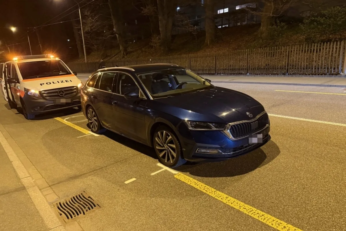 St. Gallen – Hund tödlich von Auto erfasst
