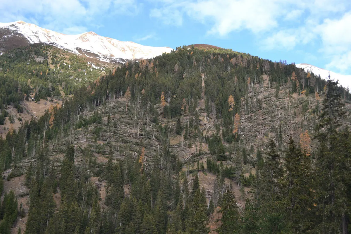Graubünden GR - Die Folgen von Sturm "Vaia" im Wald