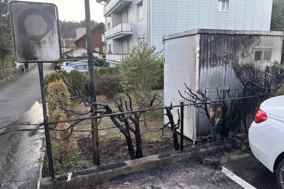 Das Bild zeigt verkohlte Pflanzen und ein beschädigtes Gartenhaus in einem Wohngebiet. Ein weißes Auto ist hell erkennbar.