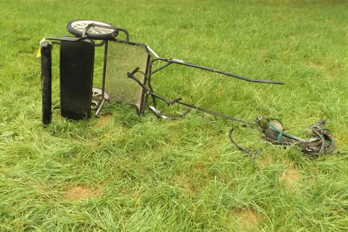 Schwerer Unfall mit Sulky-Kutsche