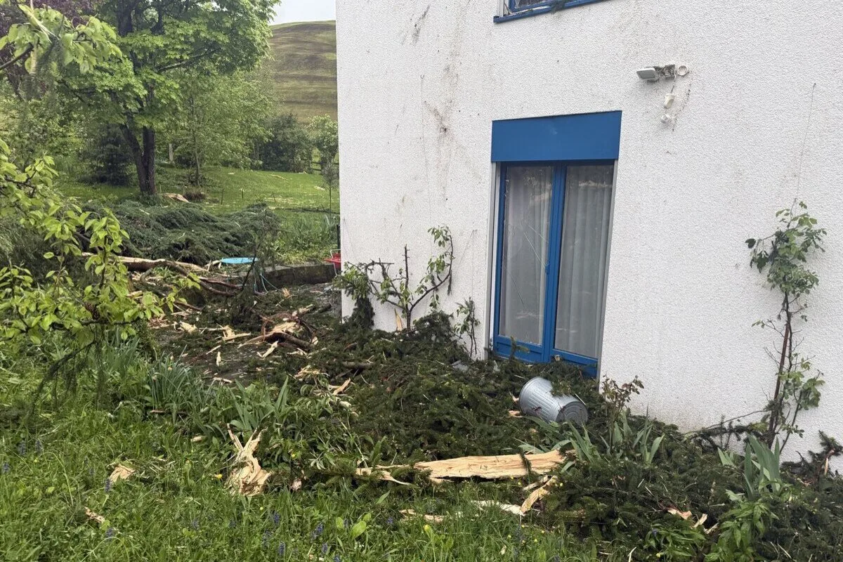 Vor einem Gebäude mit blauen Fenstern liegt ein umgestürzter Baum, umgeben von verstreuten Zweigen und Trümmern auf dem Gras.