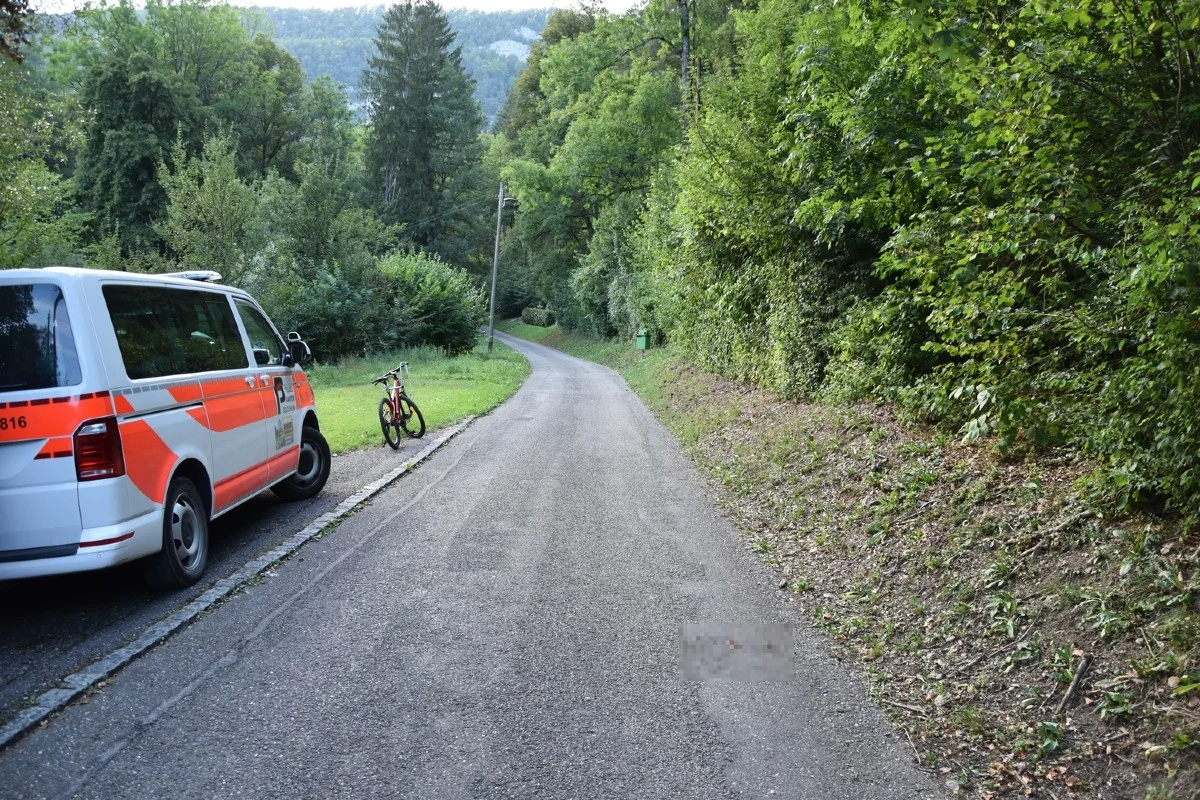 Zeugenaufruf aus Bärschwil SO - Hund vor Augen der Besitzerin totgefahren und danach davongefahren!