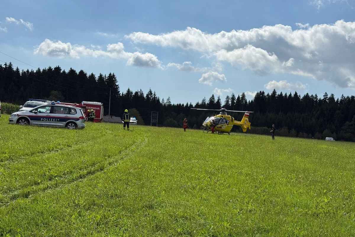Ein gelber Rettungshubschrauber steht auf einer grünen Wiese. Neben ihm Polizeiauto und Feuerwehrwagen. Im Hintergrund ein Wald.