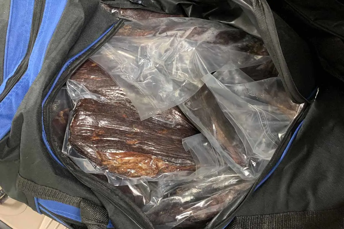 Thayngen SH - Hunderte Kilogramm Fleisch geschmuggelt