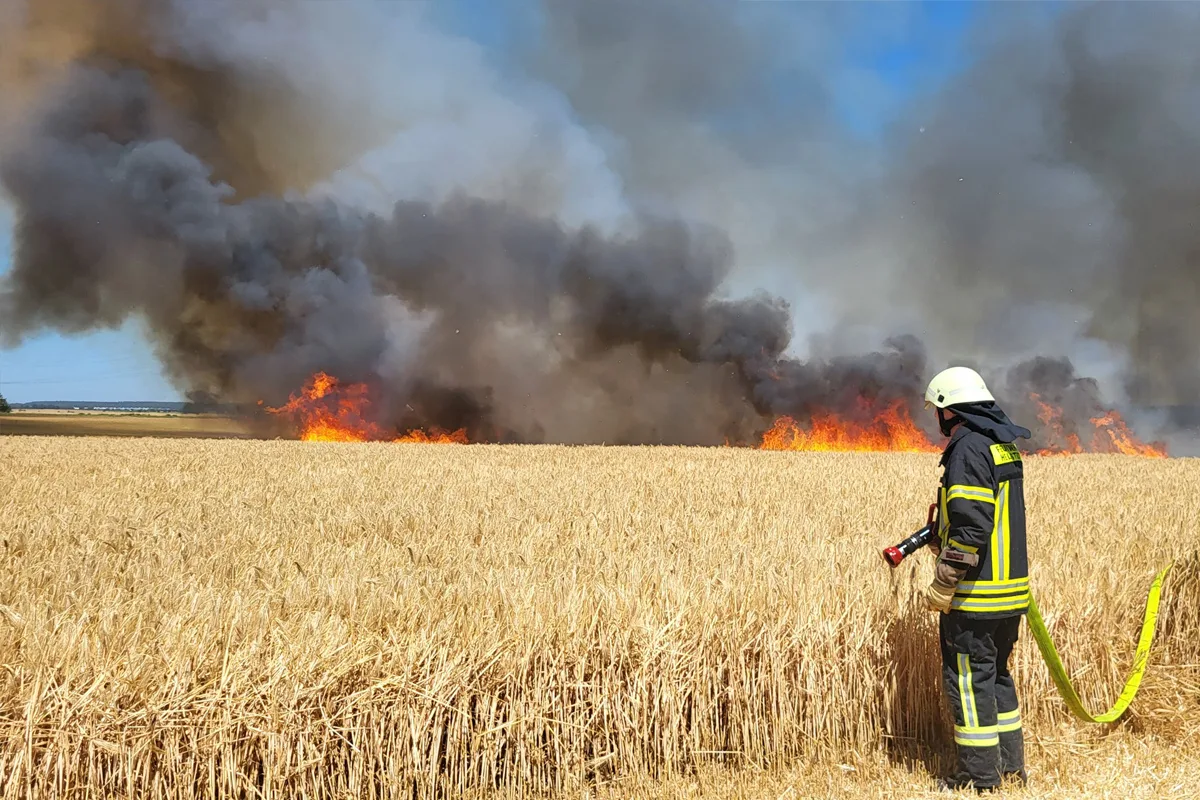 Brand von Getreidefeld in Helmstedt NI – Feuerwehr verhindert Ausbreitung