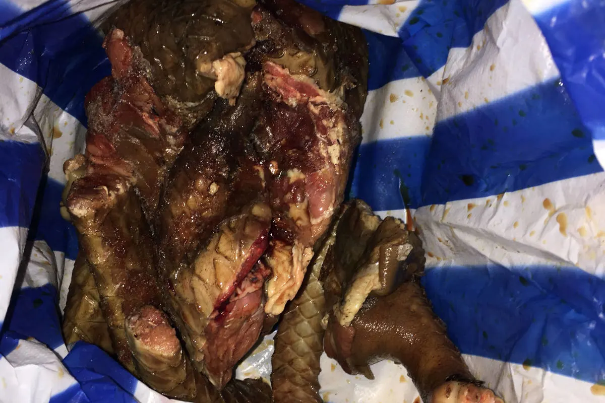 Flughafen Zürich ZH - Zerstückeltes Schlangenfleisch im Koffer einer Frau