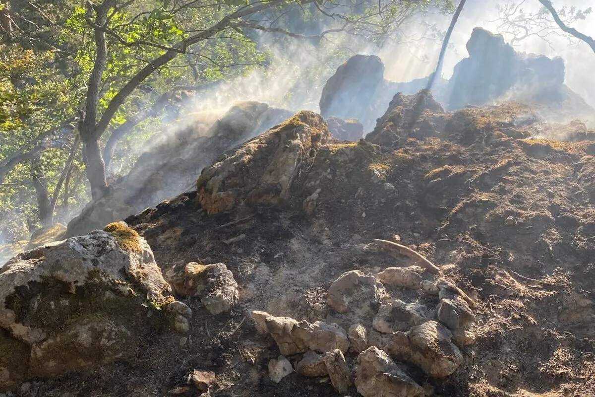 Kleiner Waldbrand in Balm bei Günsberg SO
