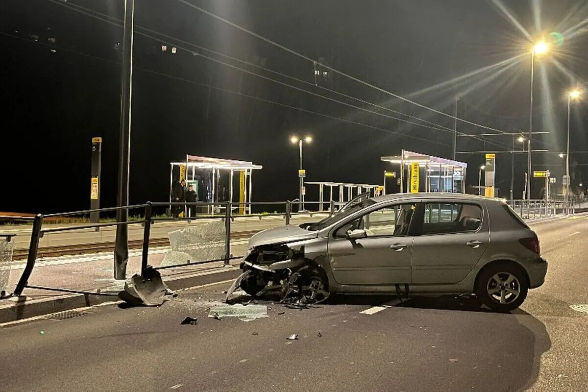 Niederdorf BL - Lenkerin erschreckt sich und verunfallt