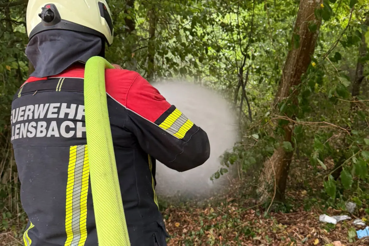 Ein Feuerwehrmann in Schutzkleidung spritzt Wasser mit einem Schlauch auf ein brennendes Gebiet im Wald. Umgeben von dichtem Grün versucht er, die Flammen zu kontrollieren.