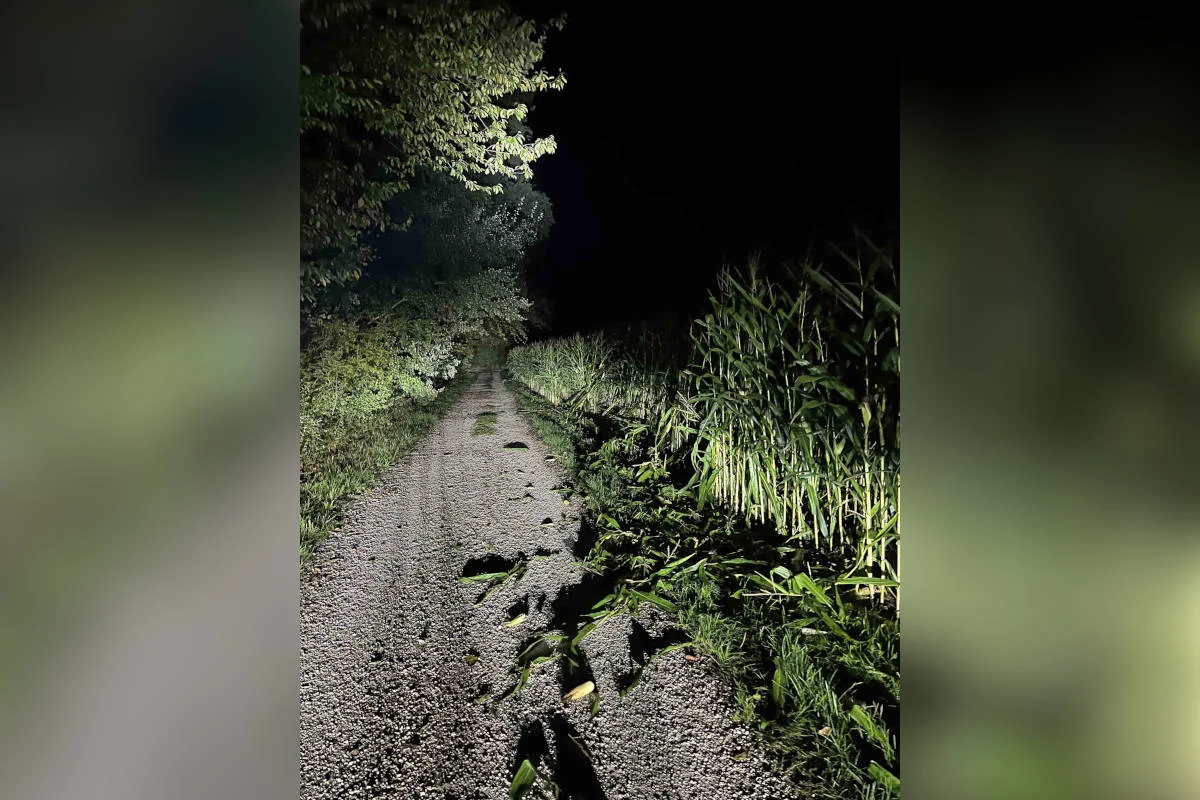 Horriwil SO – Mehrere Sachbeschädigungen nach Strolchenfahrt