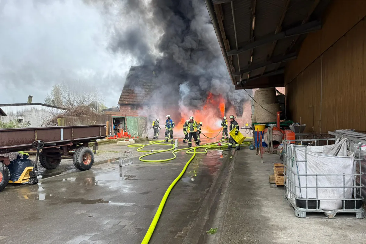 Werne – 100 Schweine bei Großbrand in Stall gestorben