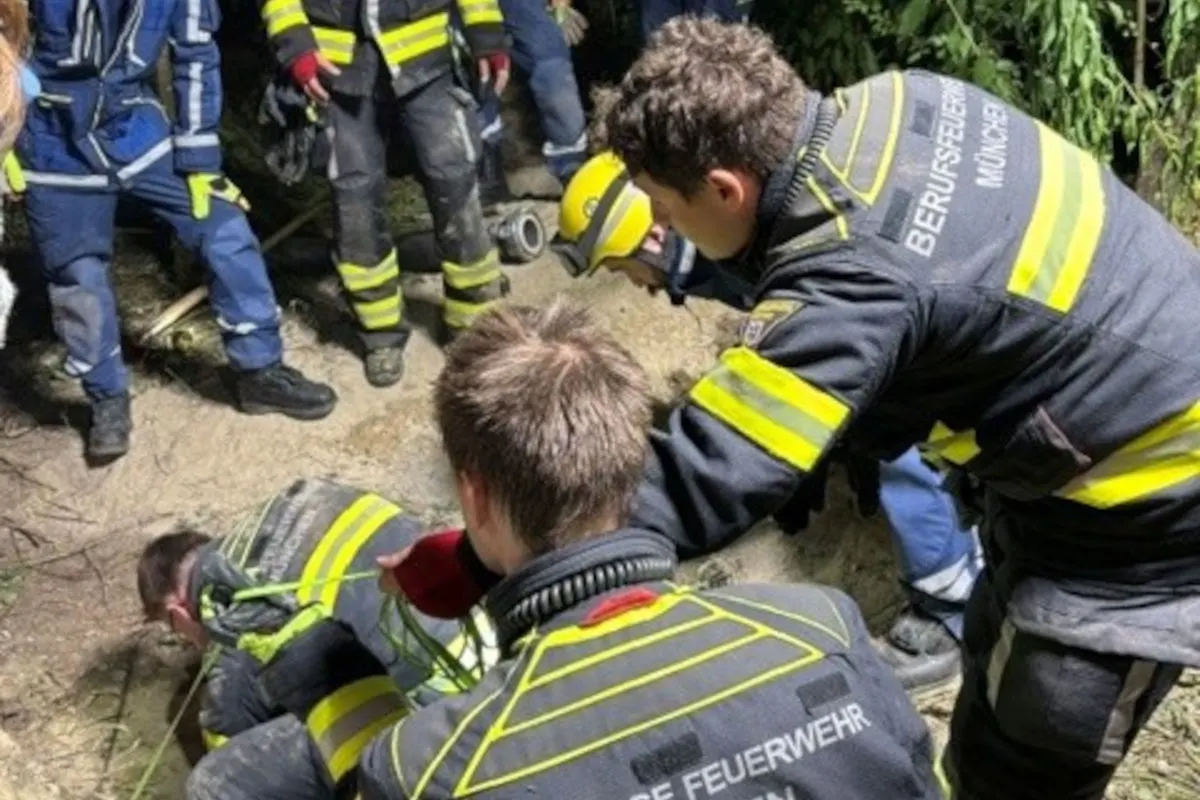 München – Feuerwehr und THW befreien Hund aus Dachsbau
