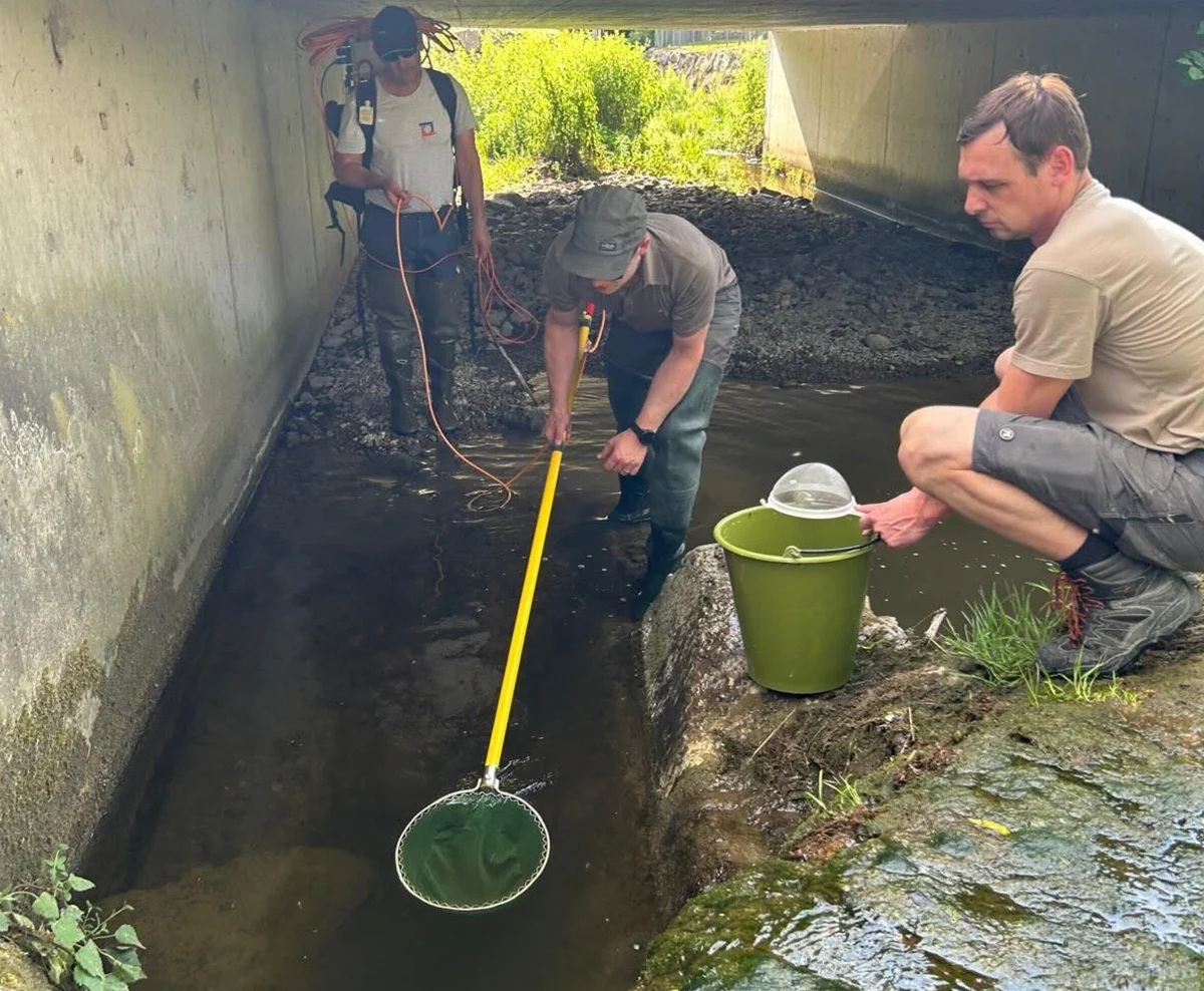 Drei Männer untersuchen das Wasser in einem Bachlauf unter einer Brücke. Einer hält einen Kescher, während ein anderer einen Eimer bereit hält.