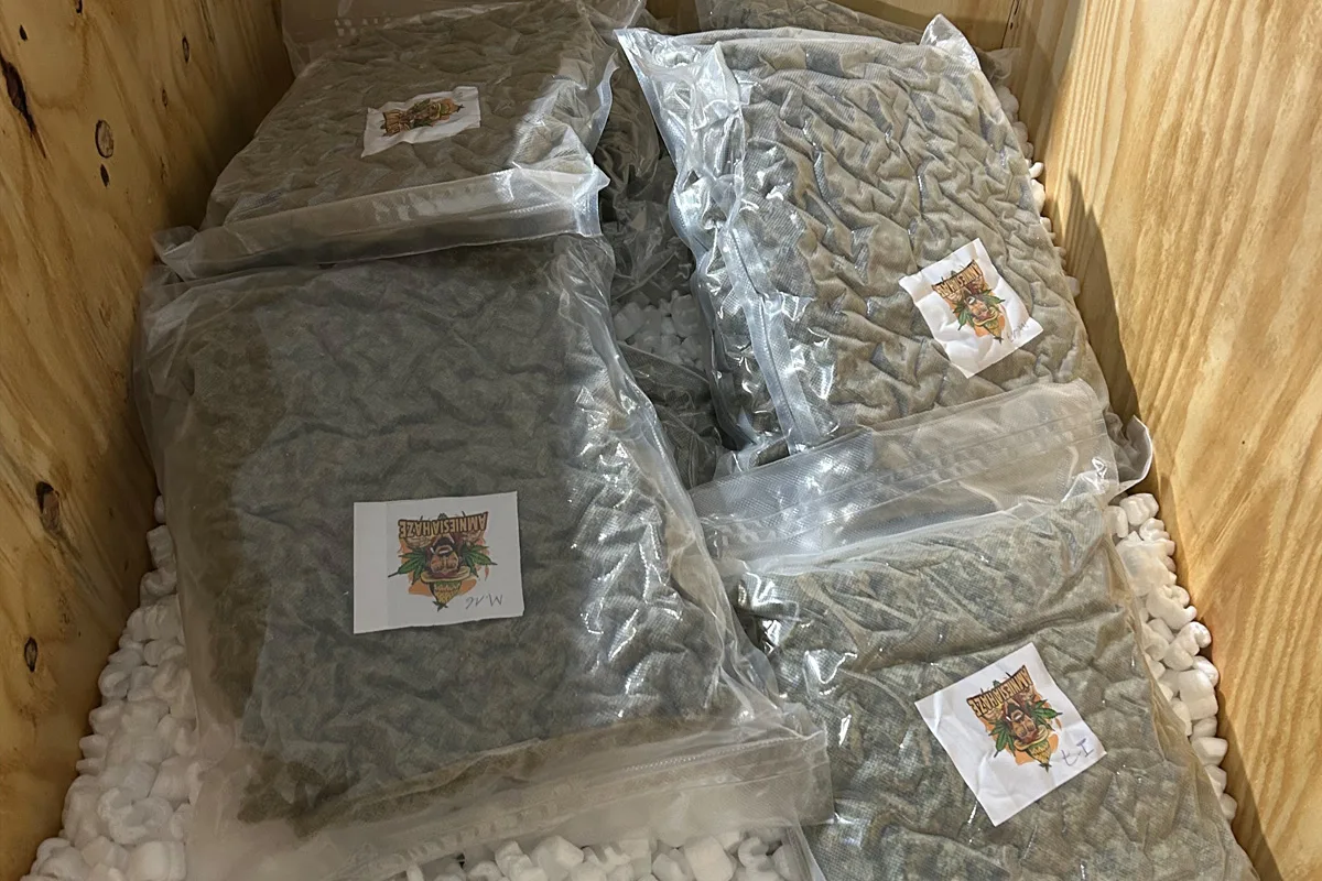 Düsseldorf – 1,5 Tonnen Marihuana sichergestellt