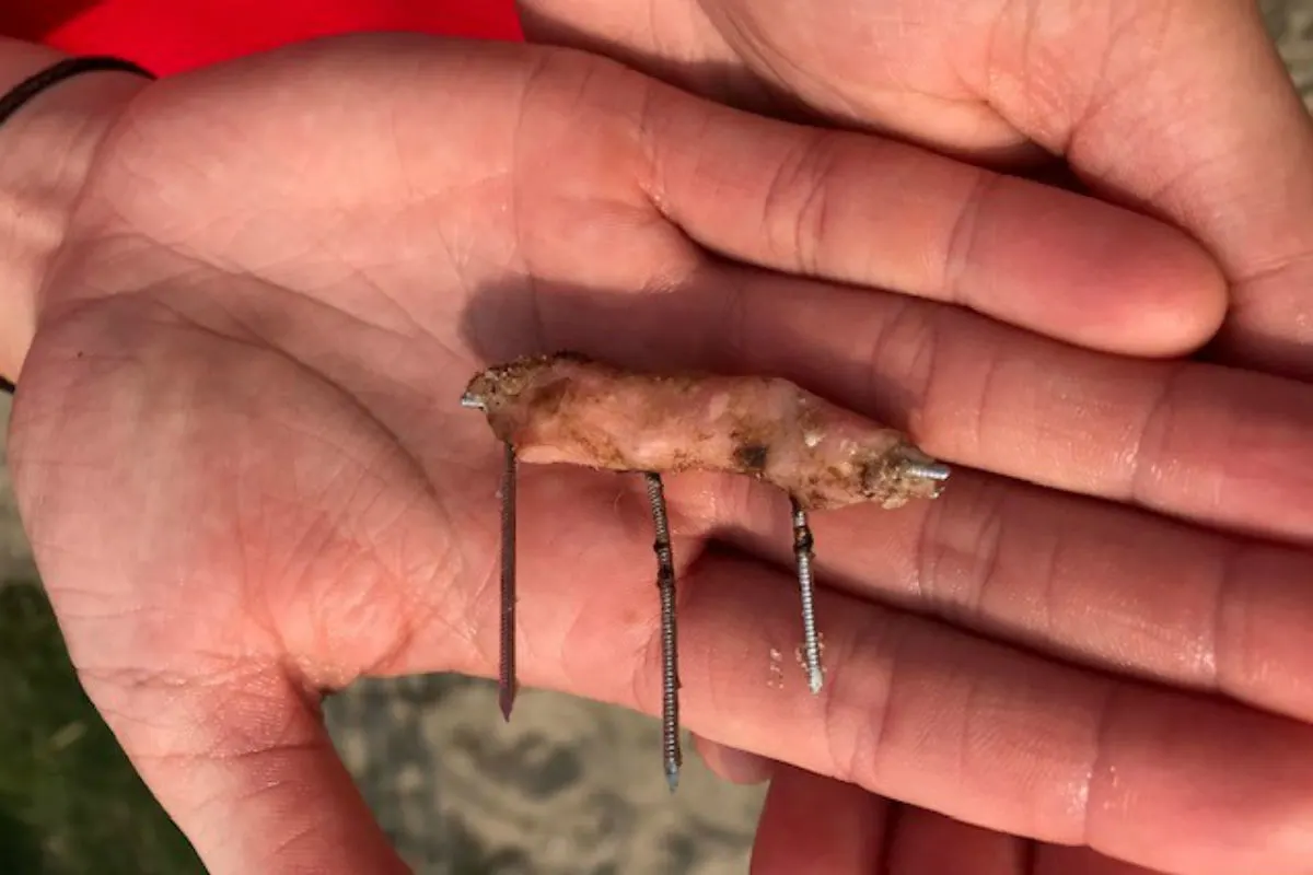 Grömitz - Köder mit Schrauben am Hundestrand entdeckt