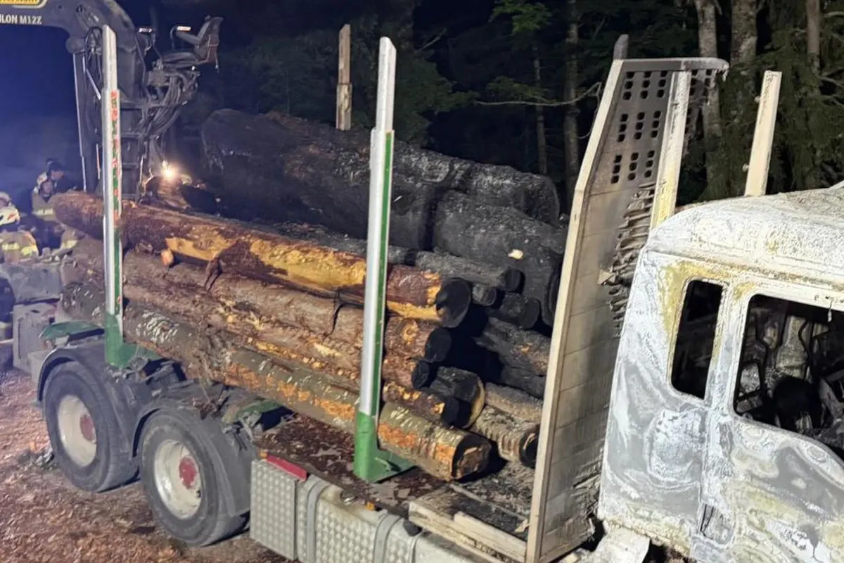 Ein Holztransporter steht mit ausgebrannter Kabine und teilweise verkohlten Baumstämmen nach einem Feuer im Wald.