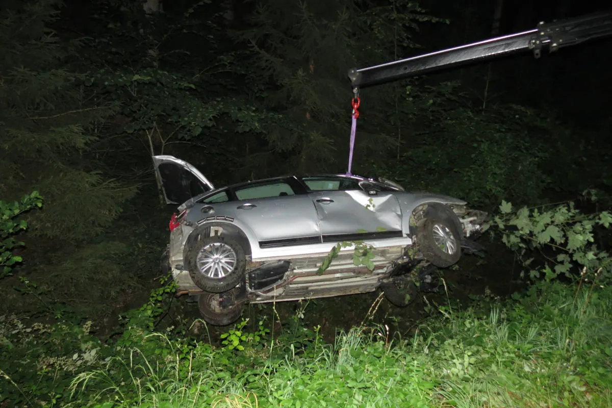 Schupfart AG - Fuchs ausgewichen und von Strasse abgekommen