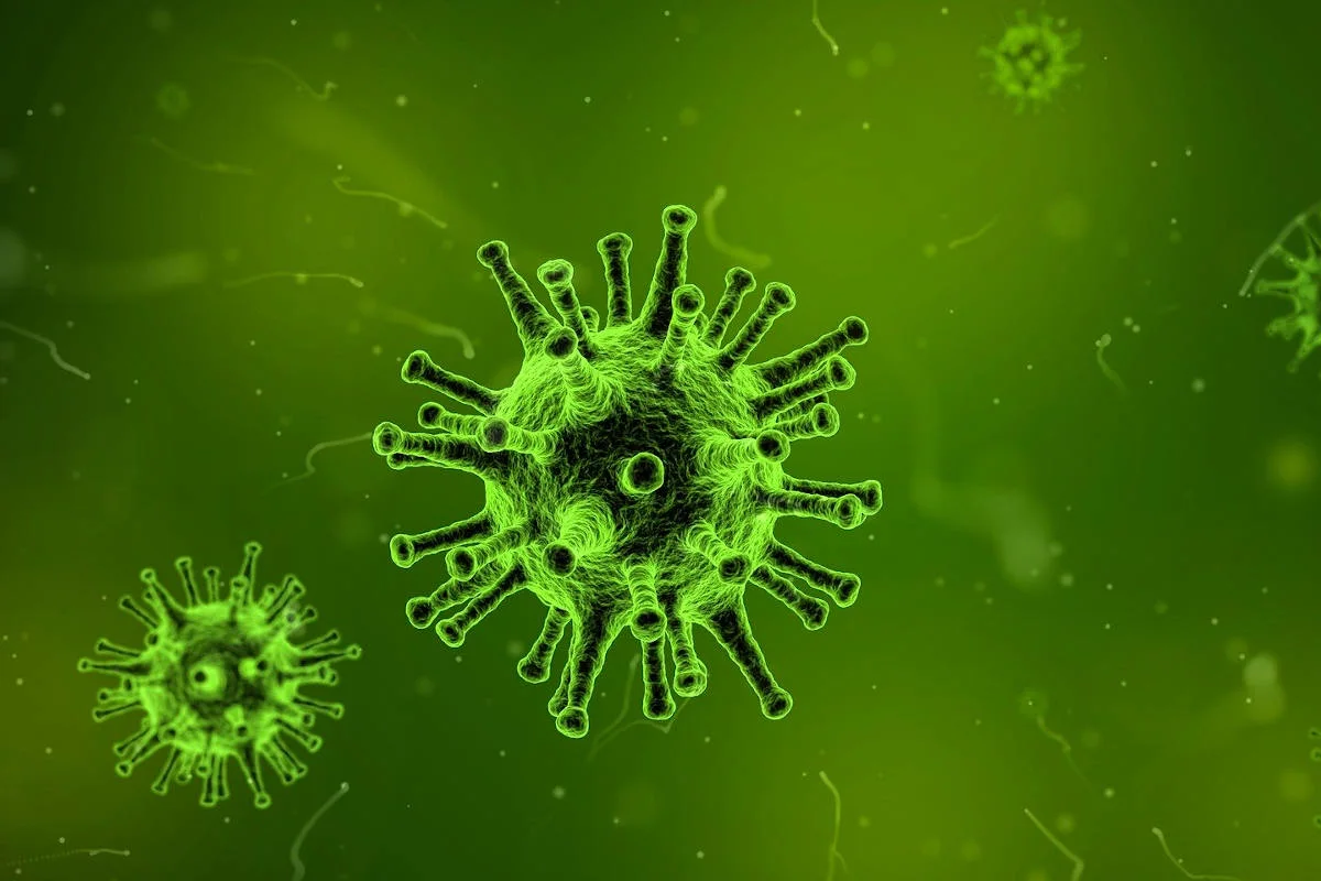 Coronavirus - BAG äussert sich zum falsch gemeldeten Todesfall