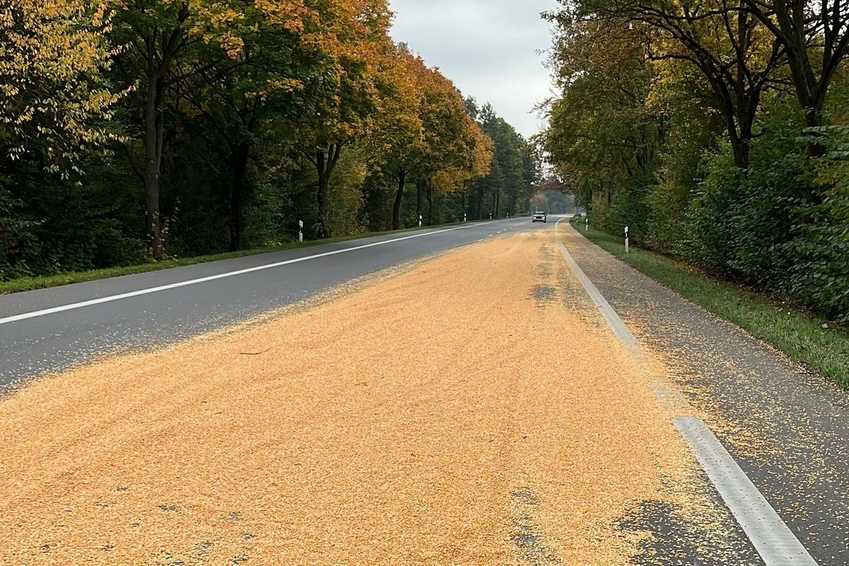 Petershagen - Traktor verliert Mais auf der L 770 