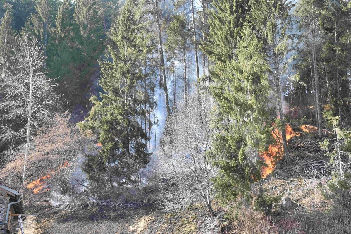 Trin GR - Waldbrand konnte gelöscht werden