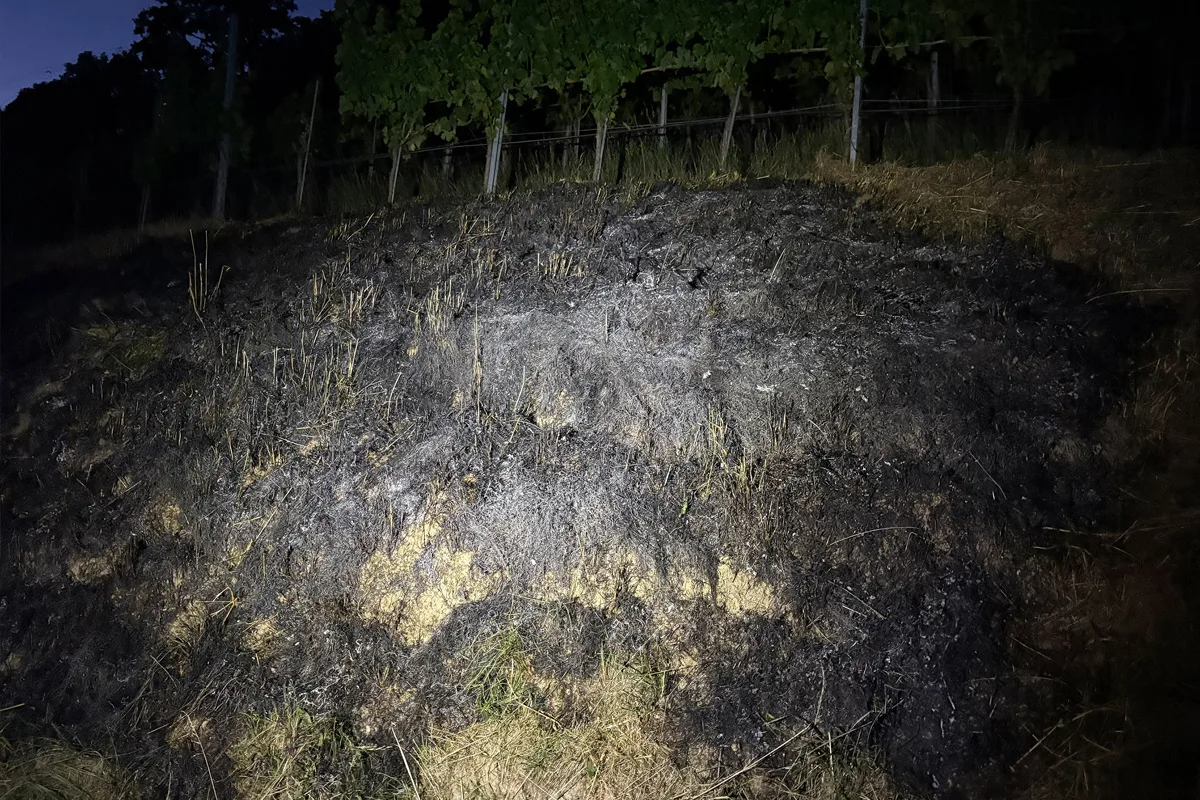 Eine verbrannte und verkohlte Böschung ist bei Nacht zu sehen. Im Hintergrund befinden sich Weinreben.