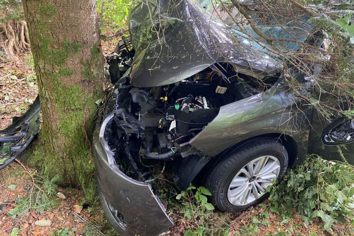Unfall in Hünenberg ZG - Heftig mit einem Baum kollidiert