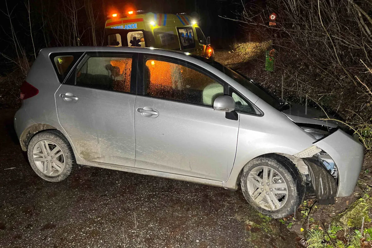 Günsberg SO – Autolenker prallt bei Selbstunfall in Böschung
