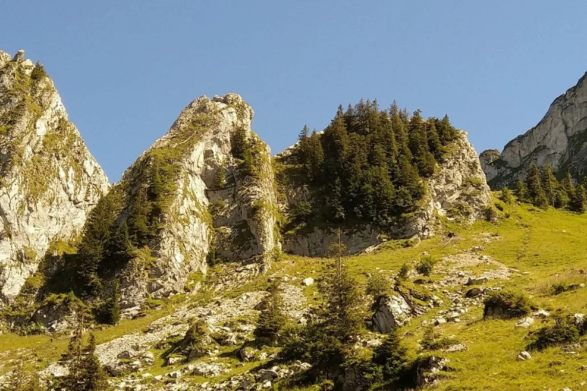 Tragischer Kletterunfall am Col de Jaman VD - Kind und erwachsene Person stürzen in den Tod