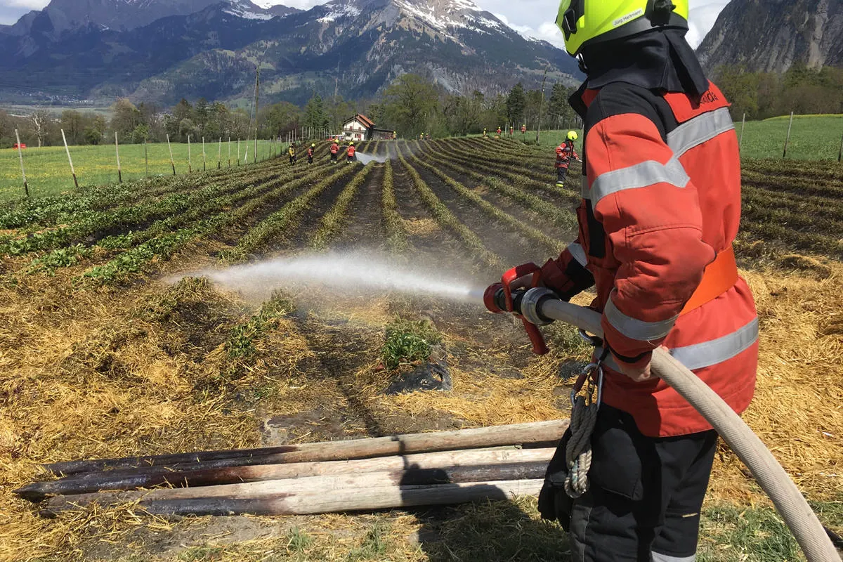 Zizers GR - Brand auf Erdbeerfeld