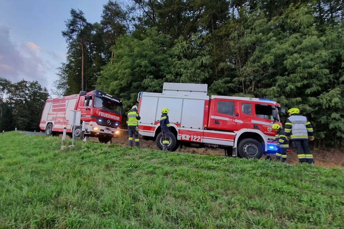 Zwei Feuerwehrfahrzeuge in rot stehen auf einer Wiese vor einem Waldrand. Mehrere Feuerwehrleute in Einsatzkleidung sind zu sehen.
