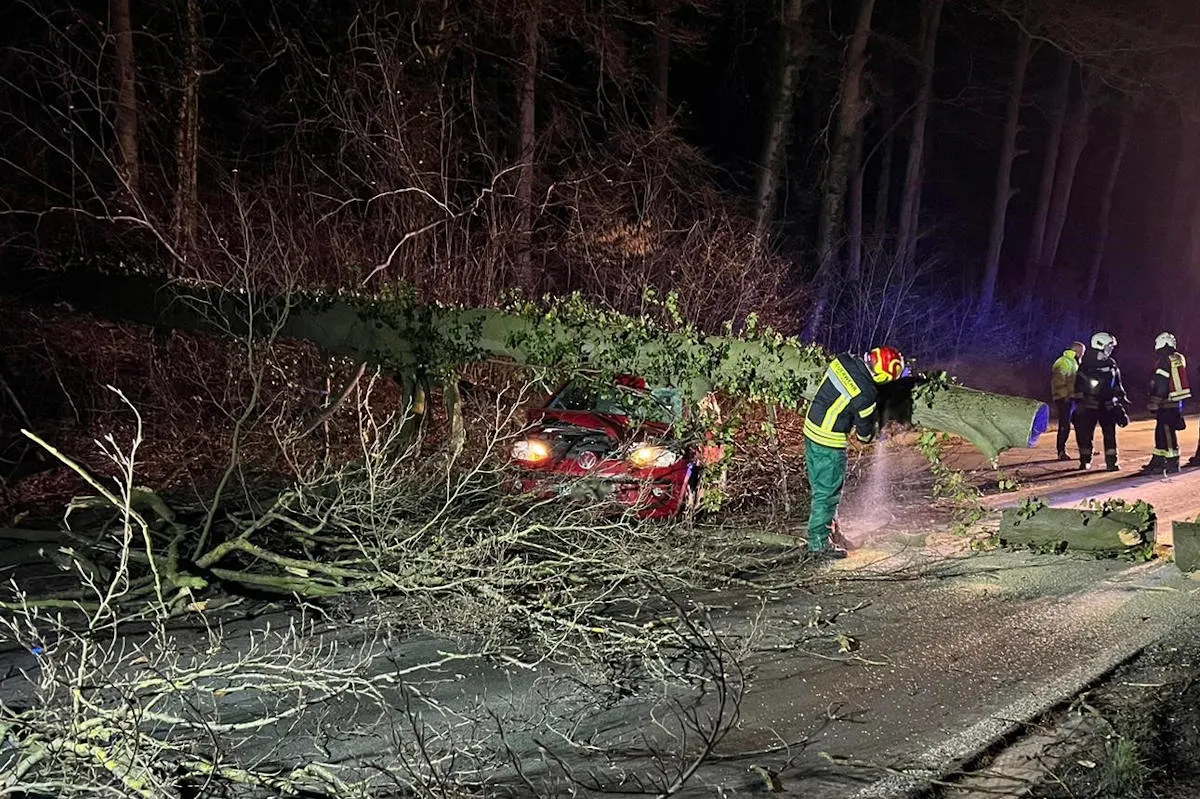 Mettmann – Glück im Unglück - Baum fällt auf Pkw