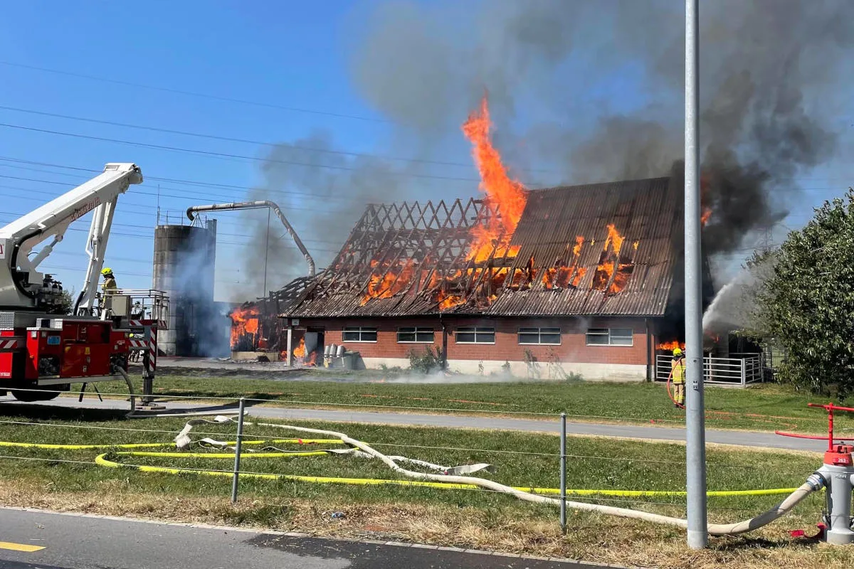 Siebnen SZ – Stallgebäude bei Brand zerstört