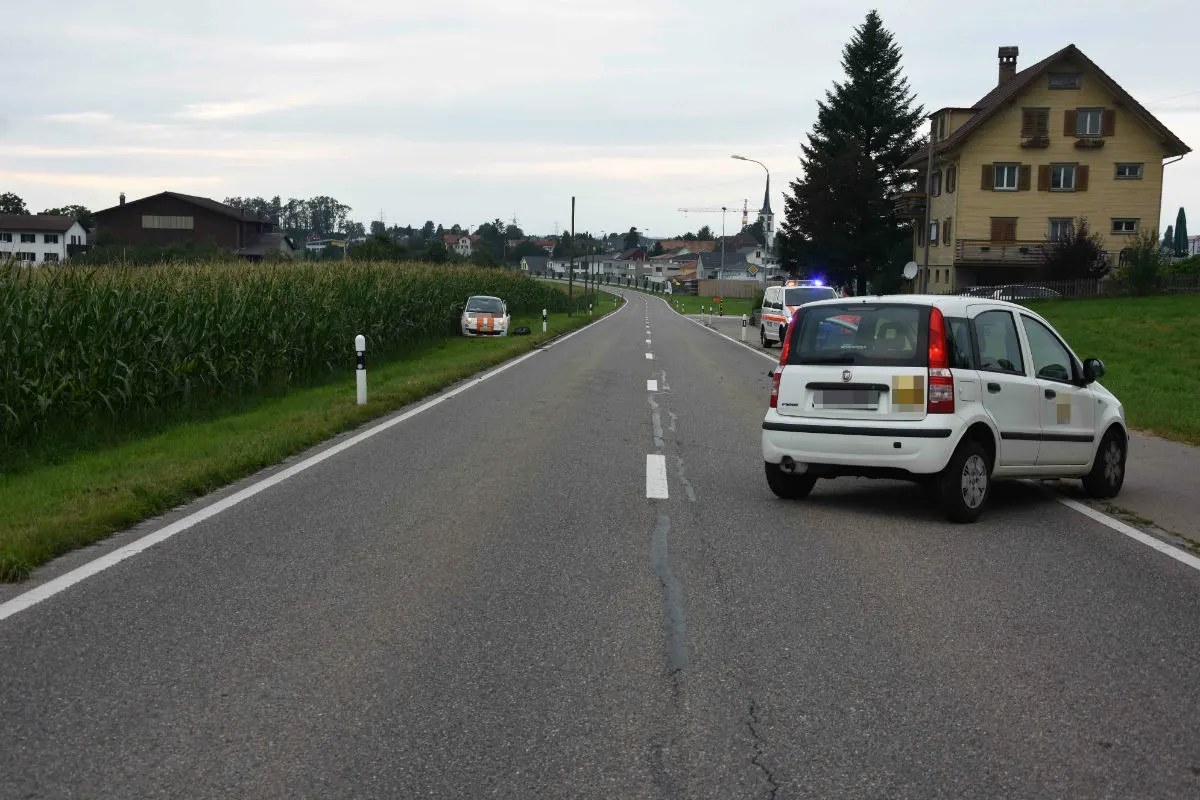 Niederwil SG - Fahrunfähiger Autofahrer landet im Maisfeld