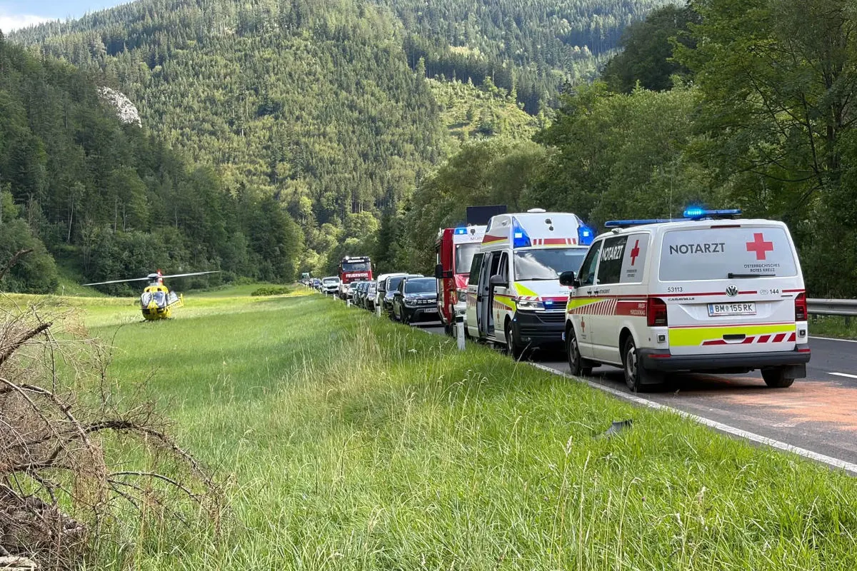 Eine Reihe von Rettungsfahrzeugen steht auf einer Landstraße neben einer bewaldeten Wiese. Ein gelber Hubschrauber landet auf der Wiese.