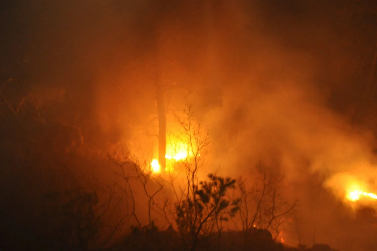 Gempen SO - Waldbrand unterhalb vom Gempenturm 