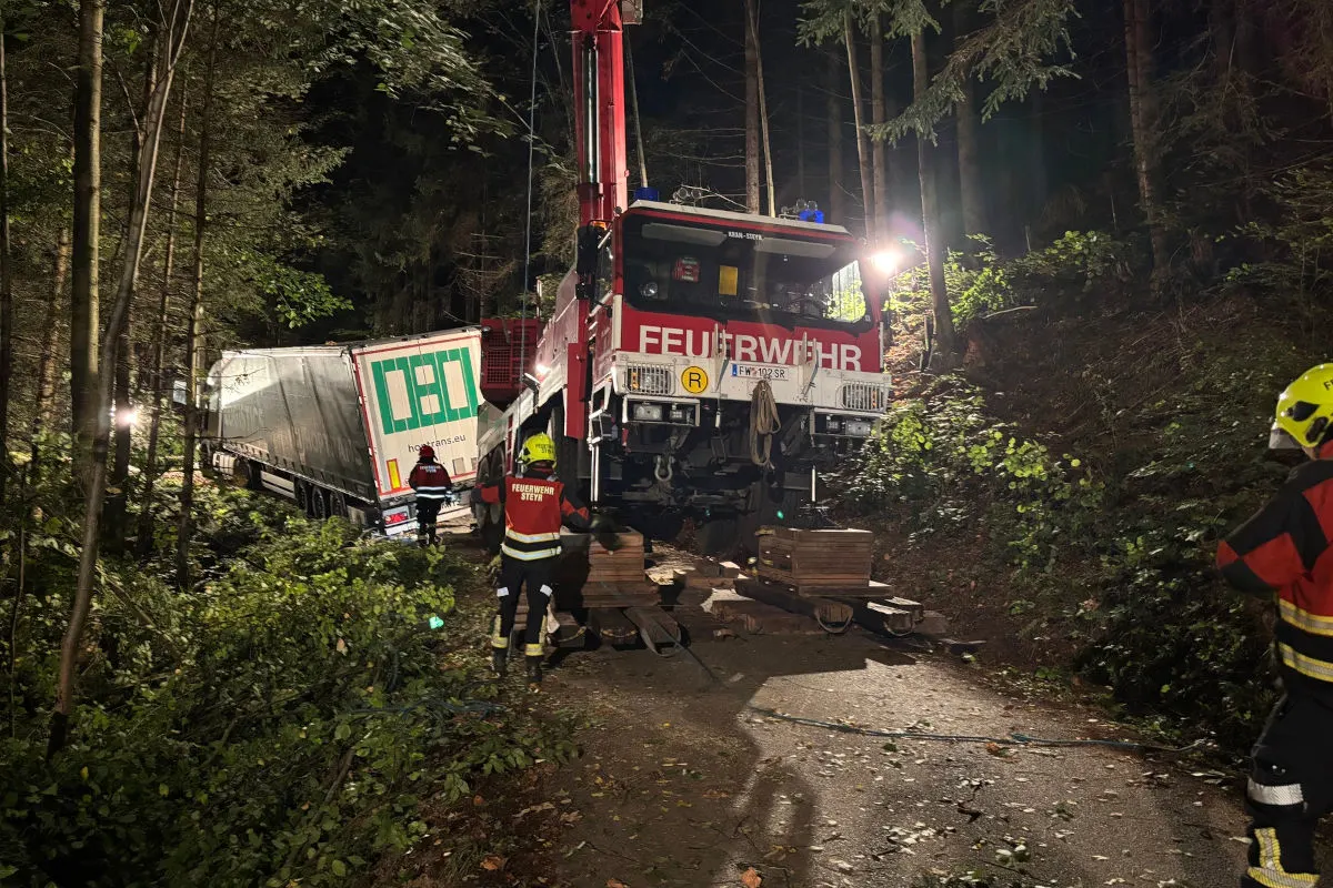 Ein Feuerwehrkran hebt nachts einen LKW im Wald an, umgeben von Feuerwehrleuten in Einsatzkleidung.
