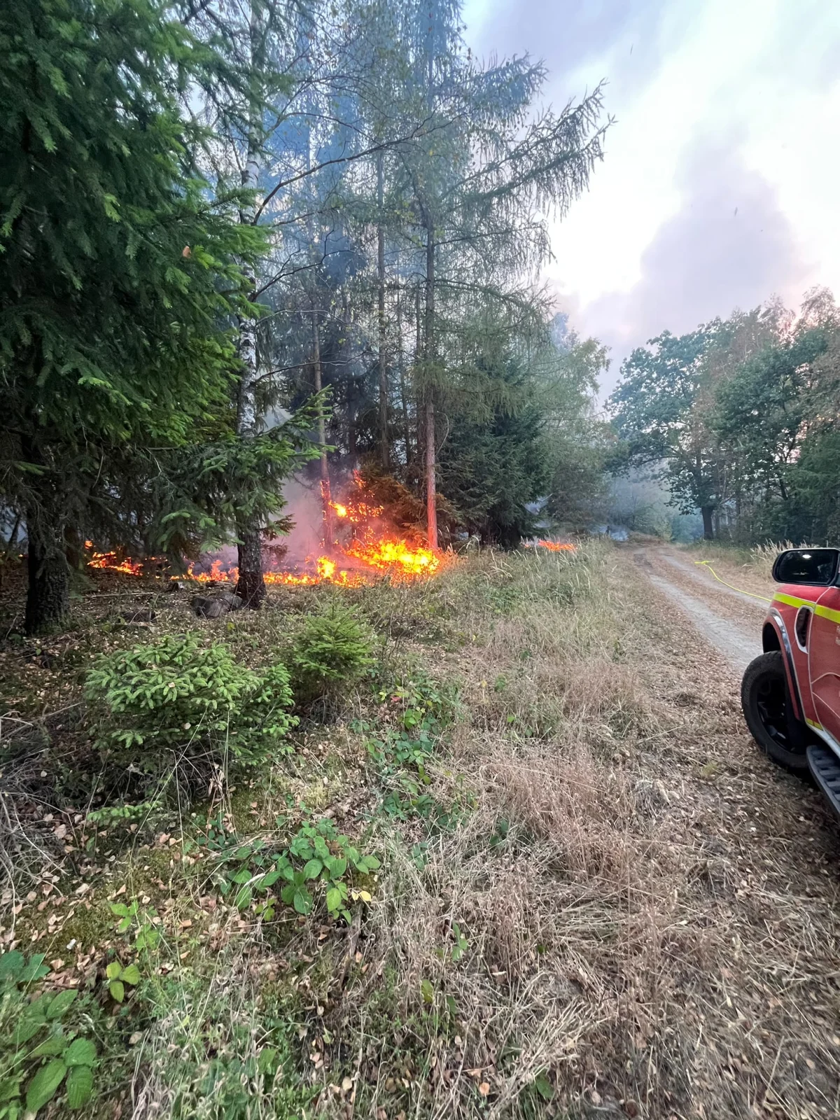 Ein intensives Feuer brennt am Waldrand, während ein Feuerwehrfahrzeug teilweise am Rand sichtbar ist. Rauch steigt in die Luft und die Szene zeigt üppige Vegetation und einen unbefestigten Weg.