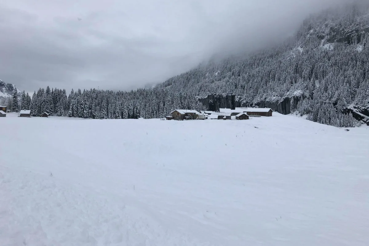 Ostschweiz, Graubünden und Tessin - Heute Abend und in der Nacht zum Teil starke Schneefälle!