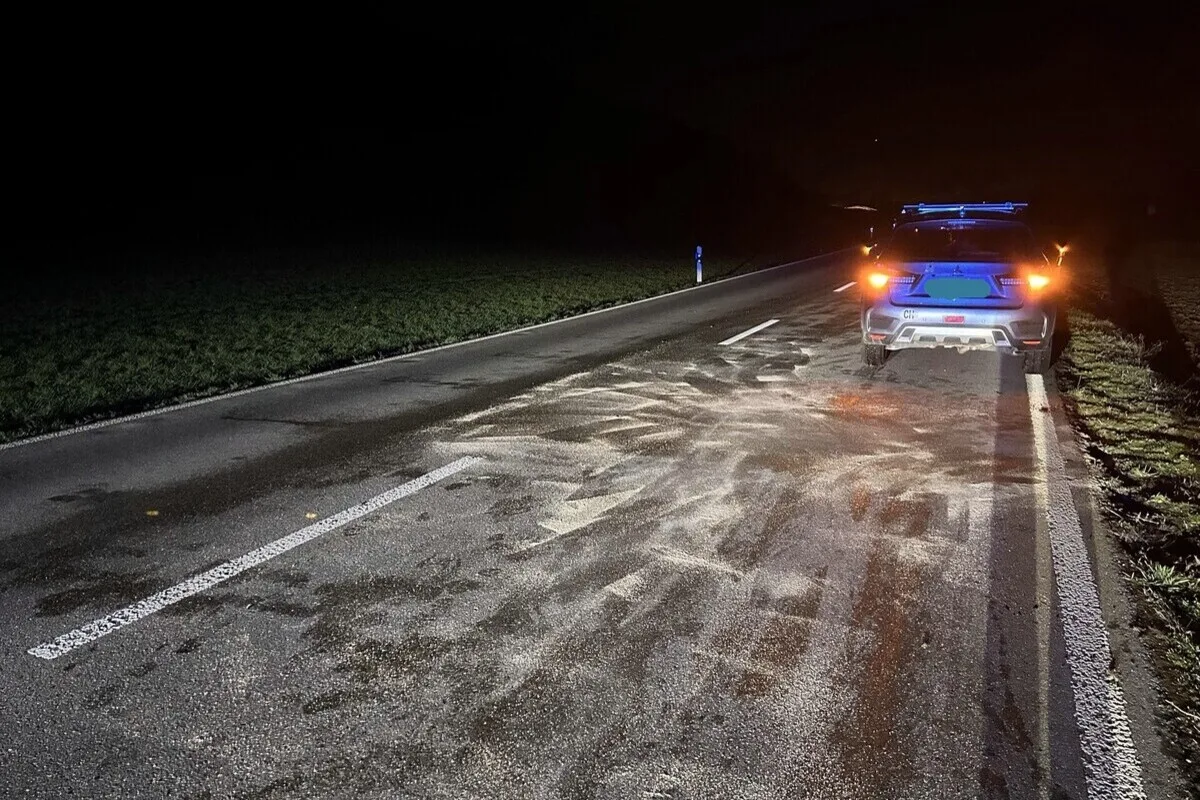 Neunkirch SH - Mit einem Reh kollidiert 