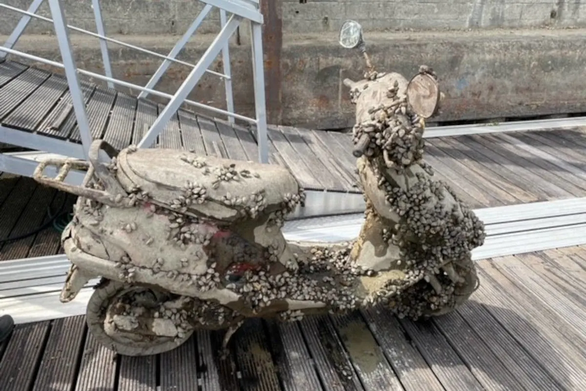 Speyer – Roller "Jack Sparrow" im Rhein gefunden